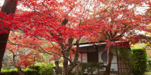 Suiran, a Luxury Collection Hotel, Kyoto