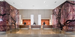 Park Hyatt Washington